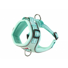 Load image into Gallery viewer, Original Airmesh Dog Harness