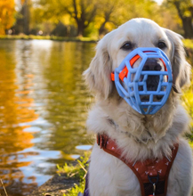 Load image into Gallery viewer, The Muzzle Movement - Size Tolly