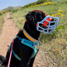 Load image into Gallery viewer, The Muzzle Movement - Size Tolly