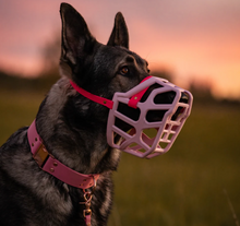 Load image into Gallery viewer, The Muzzle Movement - Size Taz