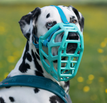 Load image into Gallery viewer, The Muzzle Movement - Size Taz