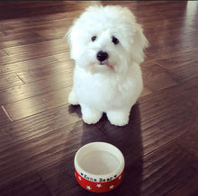 Load image into Gallery viewer, Hand crafted Dog Bowls