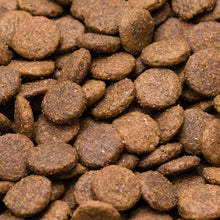 Load image into Gallery viewer, Grain Free Chicken with Sweet Potato & Herbs