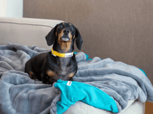 Load image into Gallery viewer, Dog Blanket