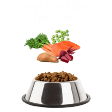 Load image into Gallery viewer, Puppy Large Breed Grain Free Salmon with Sweet Potato & Vegetables