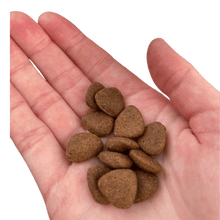 Load image into Gallery viewer, SuperFood Beef with Carrot, Green Beans, Cauliflower, Tomato & Courgette - 100g