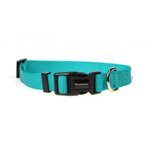 Load image into Gallery viewer, Originals Dog Collar