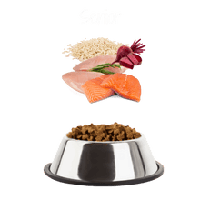 Load image into Gallery viewer, Kitten Premium Chicken and Fish with Rice