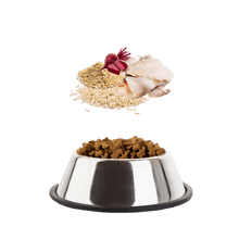 Load image into Gallery viewer, Naturals Turkey with Rice