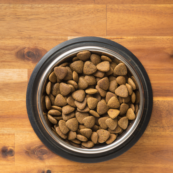 What kibble is right for your pet?