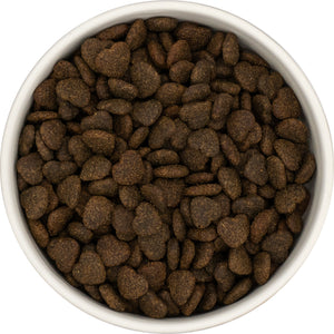 Peptide + Adult Dog Skin and Coat Care