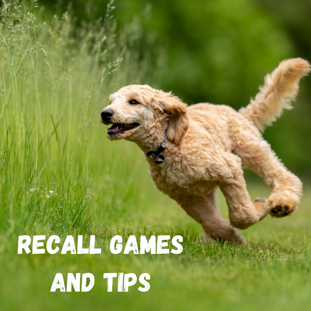 Recall tips and games FREEBIE