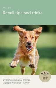 Recall tips and games FREEBIE