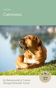 Calming tips and tricks FREEBIE