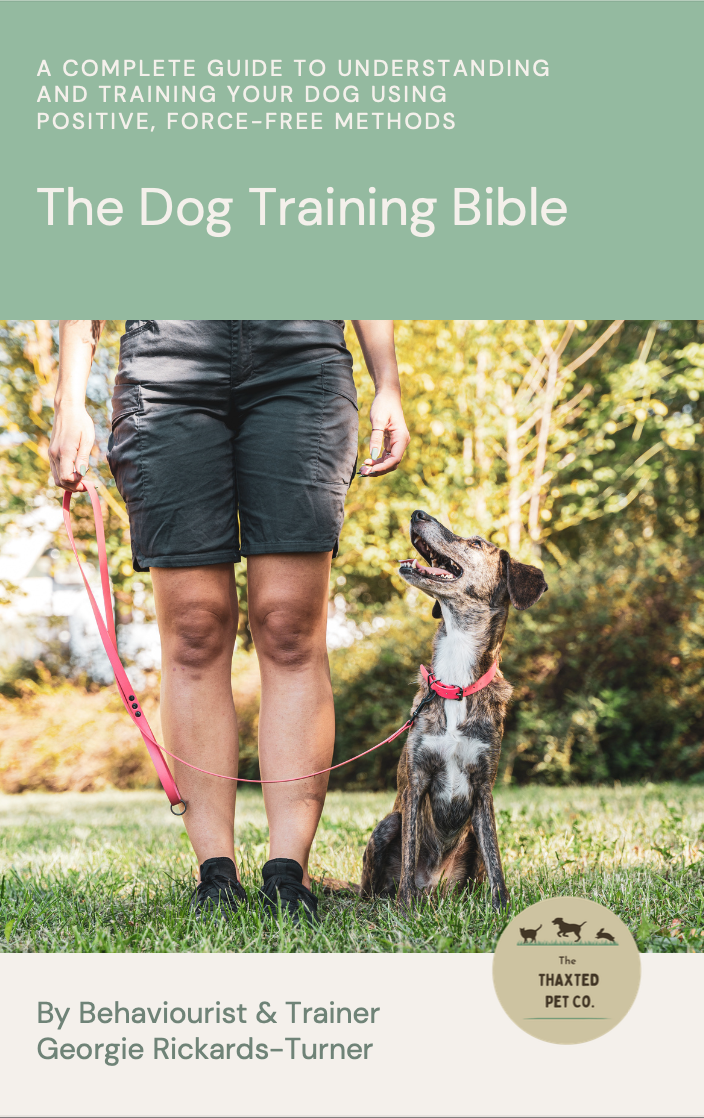 The Complete Dog Training Bible