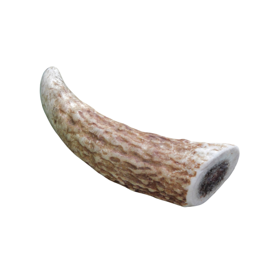 Antler dog chew