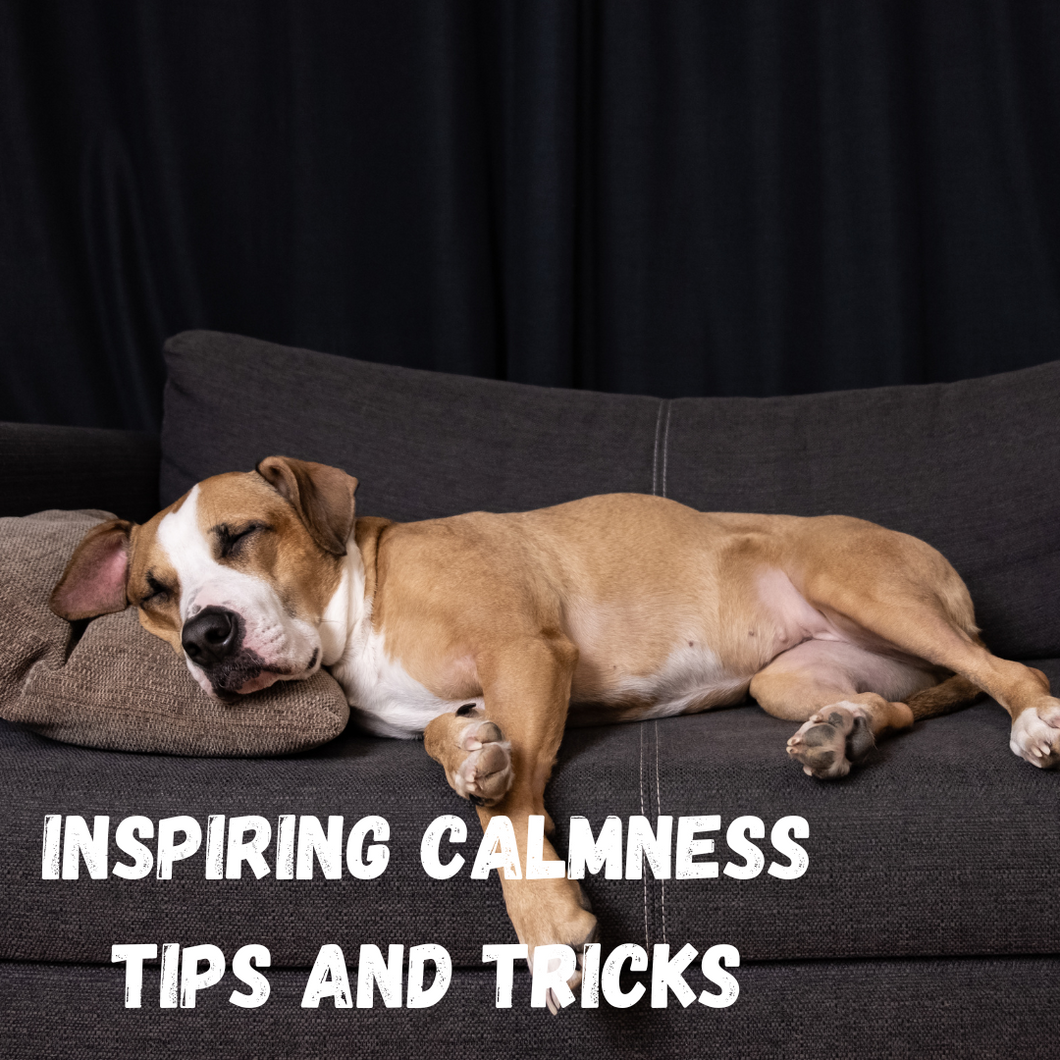 Inspiring calmness tips and tricks FREEBIE