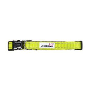 Originals Padded Dog Collar