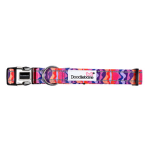 Load image into Gallery viewer, Originals Padded Dog Collar
