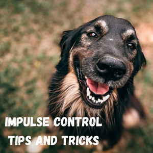Impulse control tips and tricks FREEBIE