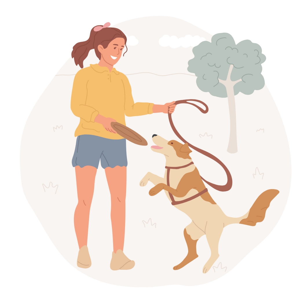 Training walk - dog only