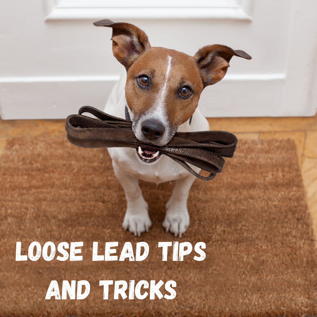 Loose lead tips and tricks FREEBIE