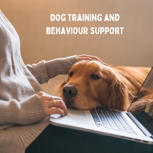 Dog training and behaviour support
