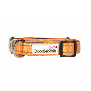 Originals Padded Dog Collar