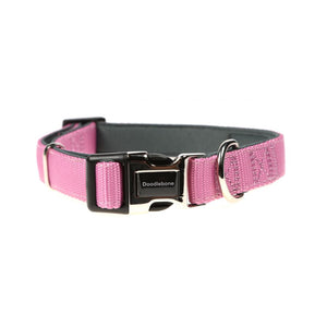 Originals Padded Dog Collar