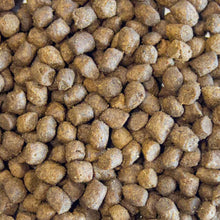 Load image into Gallery viewer, Puppy Grain Free Chicken with Turkey, Salmon, Sweet Potato &amp; Carrot
