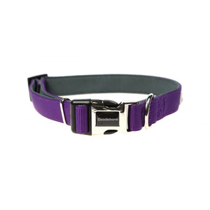 Originals Padded Dog Collar