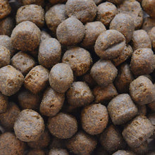 Load image into Gallery viewer, Puppy Large Breed Grain Free Salmon with Sweet Potato &amp; Vegetables
