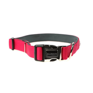 Originals Padded Dog Collar