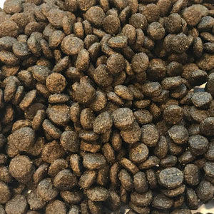 Large Breed PUPPY Super Premium Salmon with Potato