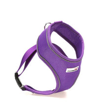 Load image into Gallery viewer, Original Airmesh Dog Harness
