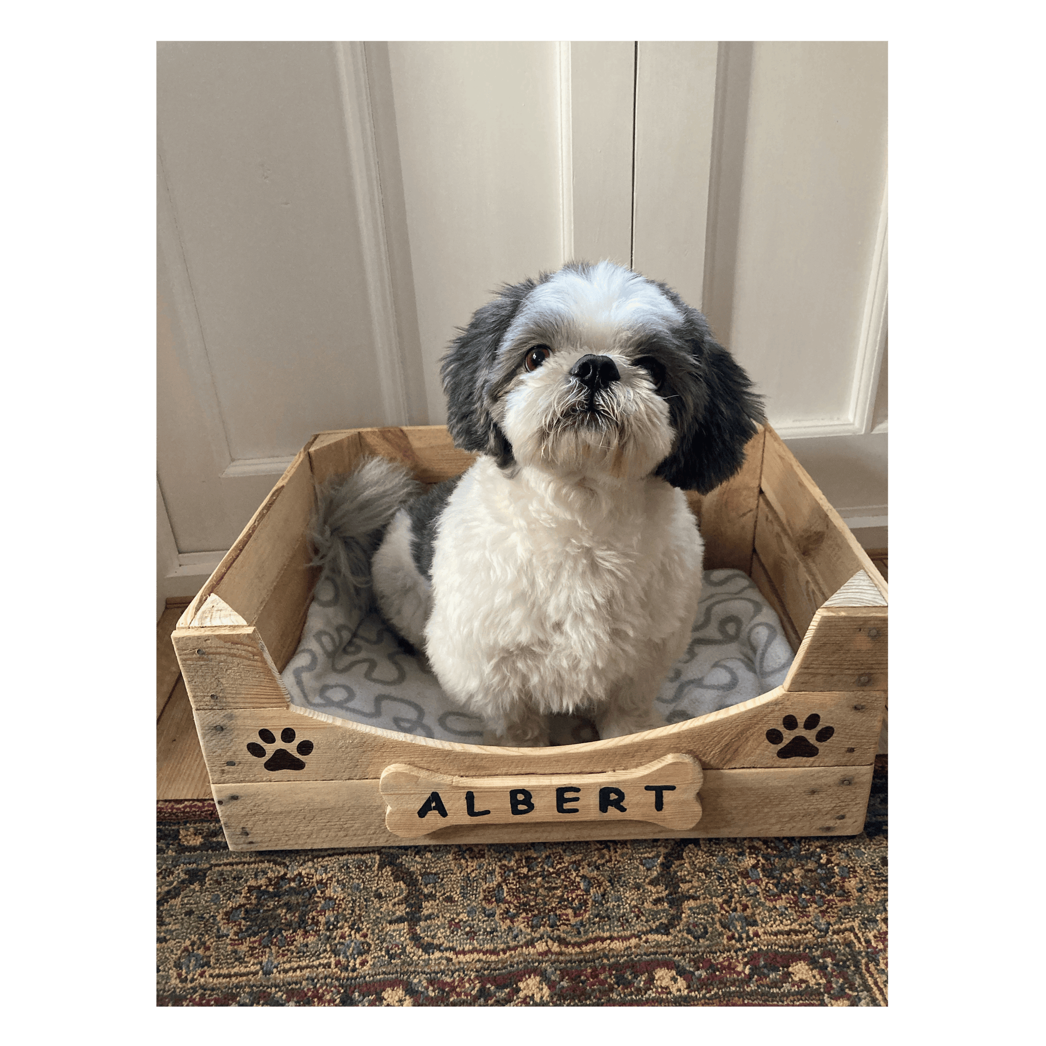 Apple crate online dog bed