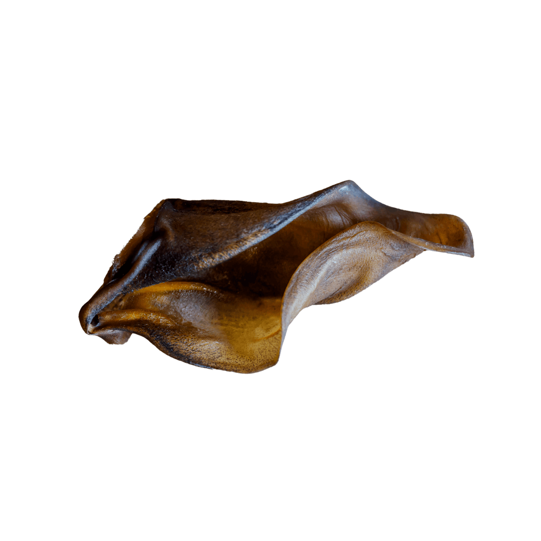 Medium Cow Ears