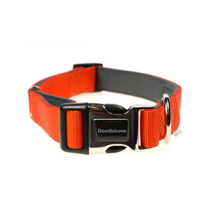 Originals Padded Dog Collar