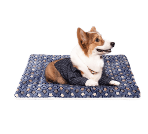 Wooden Hand Made Pet bed