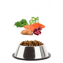 Load image into Gallery viewer, Puppy Large Breed Grain Free Salmon with Sweet Potato &amp; Vegetables
