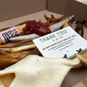 The Odourless Chew Box