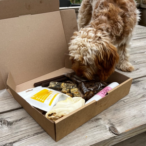 The New Puppy Pack