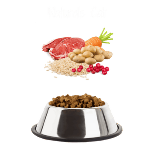 6KG (1.5 x 4KG) Naturals Cat Duck with Rice