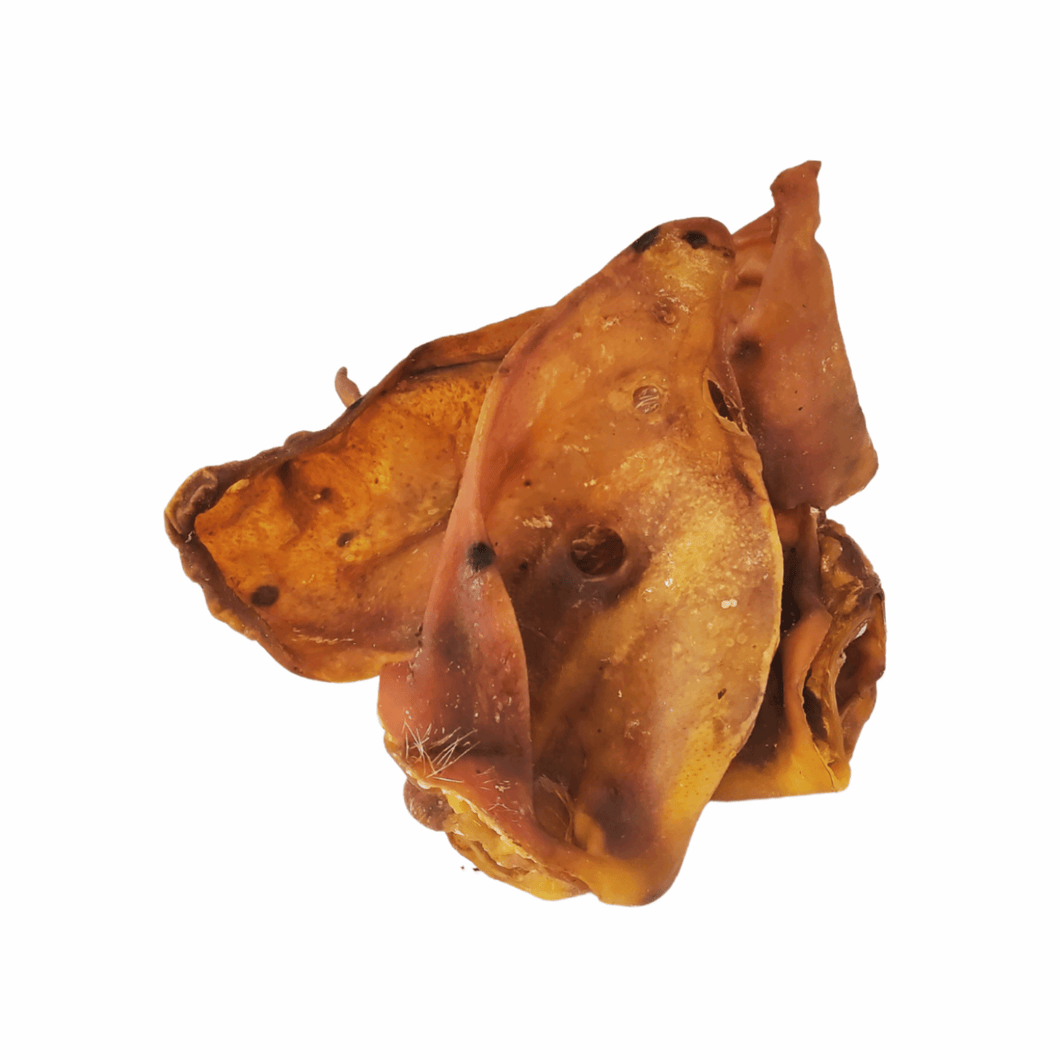 Small Pigs Ears - 1 piece