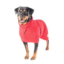 Load image into Gallery viewer, Classic Dog Drying Coat
