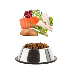Grain Free Salmon with Trout, Sweet Potato & Asparagus
