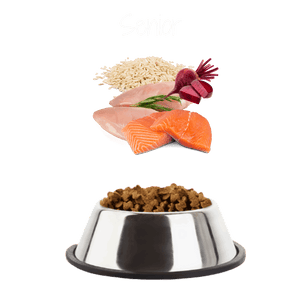 Kitten Premium Chicken and Fish with Rice