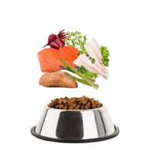 Load image into Gallery viewer, Senior Grain Free Trout with Salmon, Sweet Potato &amp; Asparagus
