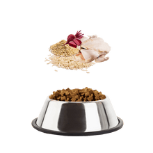 Load image into Gallery viewer, Naturals Turkey with Rice

