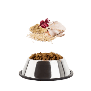 Naturals Turkey with Rice